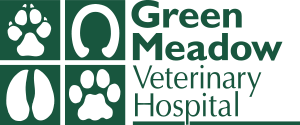 Green Meadow Veterinary Hospital